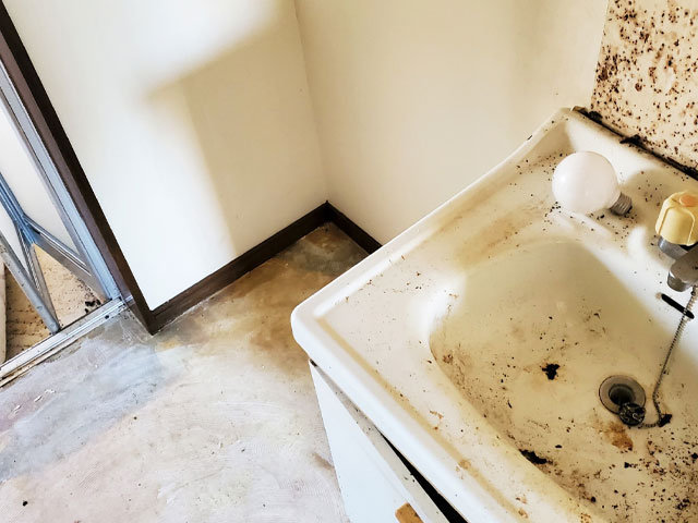 悪臭や害虫が発生した部屋のイメージ